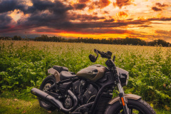 B4607DB1-4423-401D-AAC8-DC0547268EC4