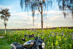 DSC01088-HDR