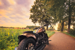 IMG_2181-3-Bearbeitet