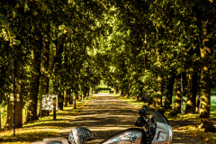 IMG_9890