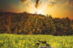 PA130453-HDR-Bearbeitet-scaled